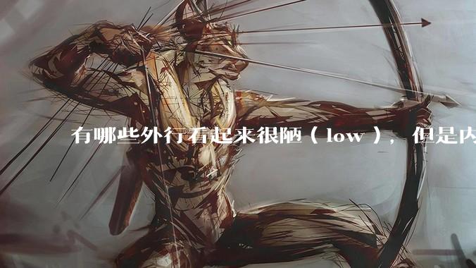 有哪些外行看起来很陋(low),但是内行人却觉得很高大上的东西?