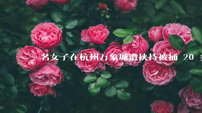 一名女子在杭州万象城遭挟持被捅 20 多刀,隆胸***体救了一命,这反映出哪些公安系统的问题?